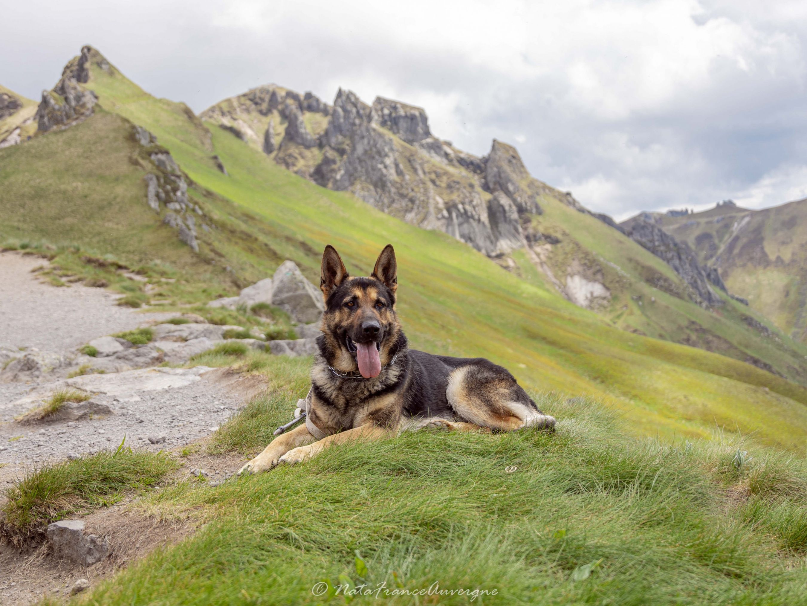 Rando Massif du Sancy juin 2023 by @NataFranceAuvergne-8956